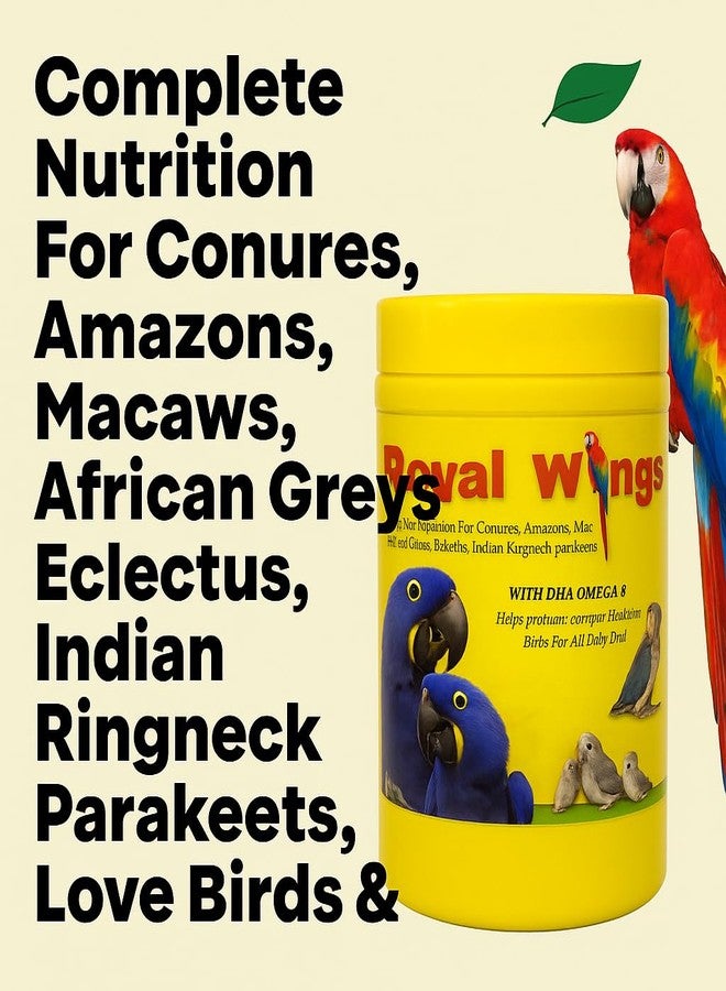 VAYINATO Royal Wings Baby Birds Hand Feeding Formula (500G) with Hand Feeding Syringe DHA Omega-3 | Complete Nutrition for Conures, Amazons, African Greys, Indian Ringneck Parakeets, Love Birds & Cockatiels - Image 4